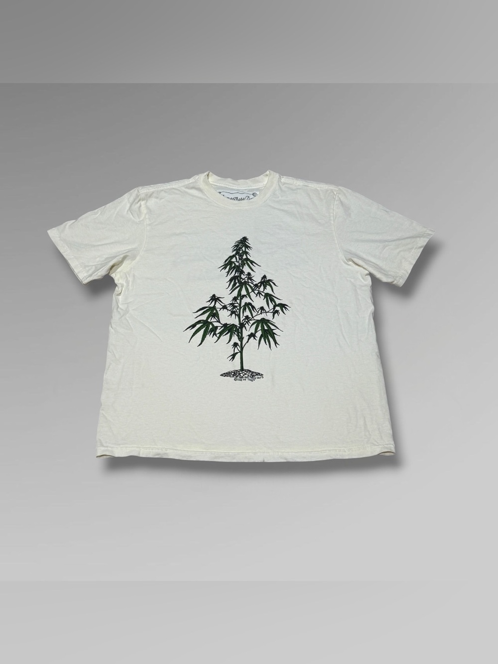 One of These Days and Away Go Troubles Down the Drain Tee